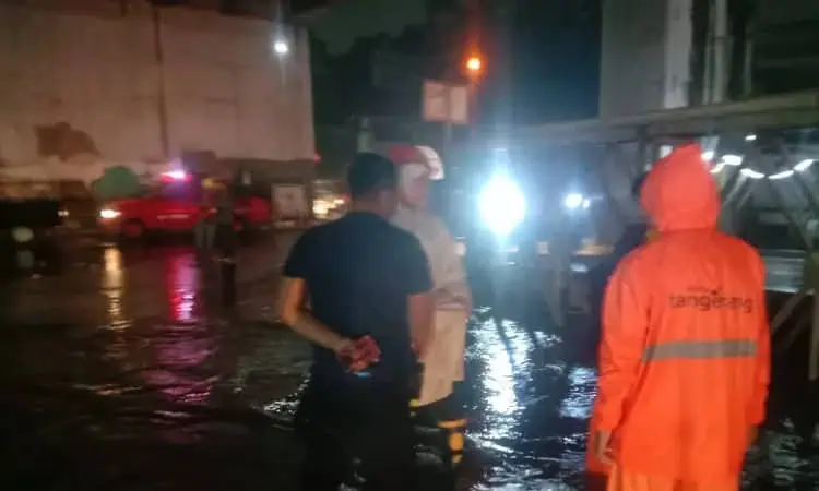 Hujan Deras Picu Genangan dan Pohon Tumbang di Kota Tangerang