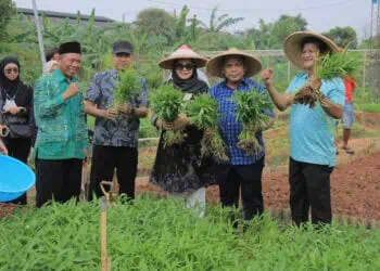 Panen Bareng KWT di Kota Tangerang, Nurdin: Bisa Jadi Tempat Belajar Urban Farming