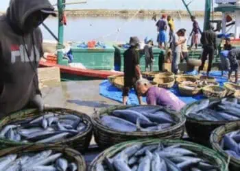 Retribusi Ikan Naik, Nelayan di Lebak Mengeluh