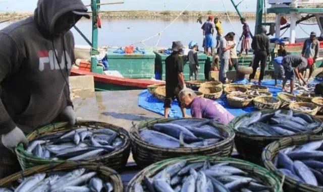 Retribusi Ikan Naik, Nelayan di Lebak Mengeluh