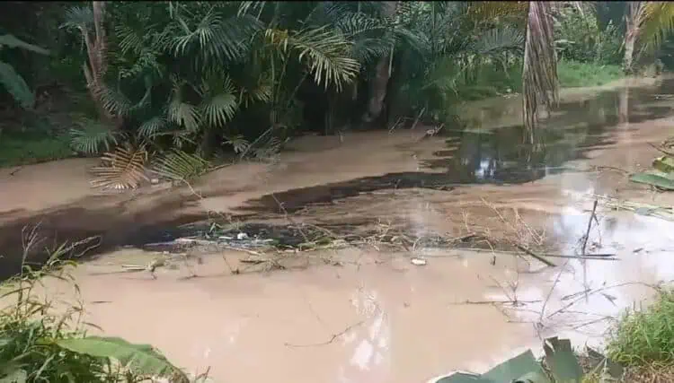 Warga Lebak Diresahkan Pembuangan Limbah yang Diduga Beracun
