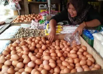 Harga Telur Ayam di Pandeglang Tembus Rp 31 Ribu per Kg, Pedagang Galau 