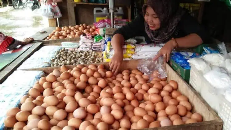Harga Telur Ayam di Pandeglang Tembus Rp 31 Ribu per Kg, Pedagang Galau 