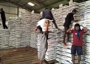 Meski Ratusan Hektare Sawah Teredam Banjir, Lebak Yakin Surplus Beras