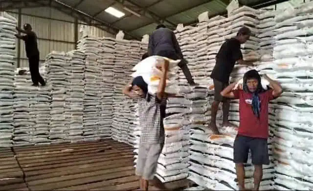 Meski Ratusan Hektare Sawah Teredam Banjir, Lebak Yakin Surplus Beras