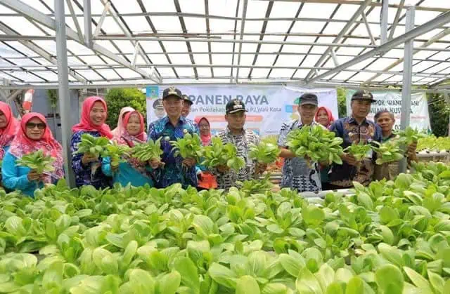Manfaatkan Lahan Kosong DKP Kota Tangerang dan KWT Panen Raya Sayur dan Ikan
