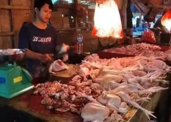 Jelang Ramadan, Harga Daging Ayam di Lebak Tembus Rp42 Ribu