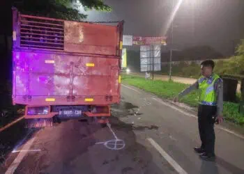 Tabrak Truk Mogok di Rawa Buntu, Seorang Pengendara Motor Tewas