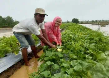 Kawasan Pesisir Diubah Menjadi Zona Ekonomis