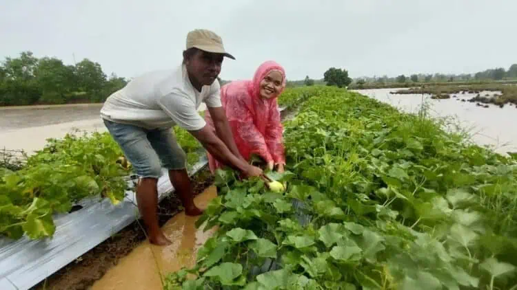 Kawasan Pesisir Diubah Menjadi Zona Ekonomis