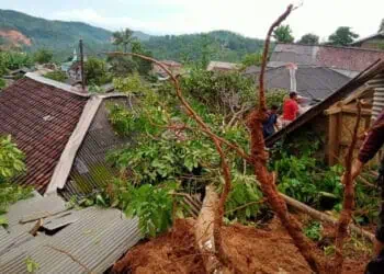 14 Rumah di Lebak Digerus Longsor, 8 Rusak Berat