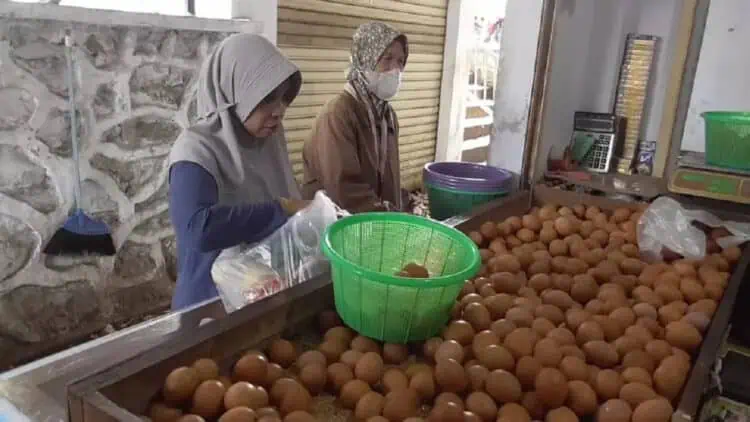 Harga Telur Melejit Di Kabupaten Tangerang