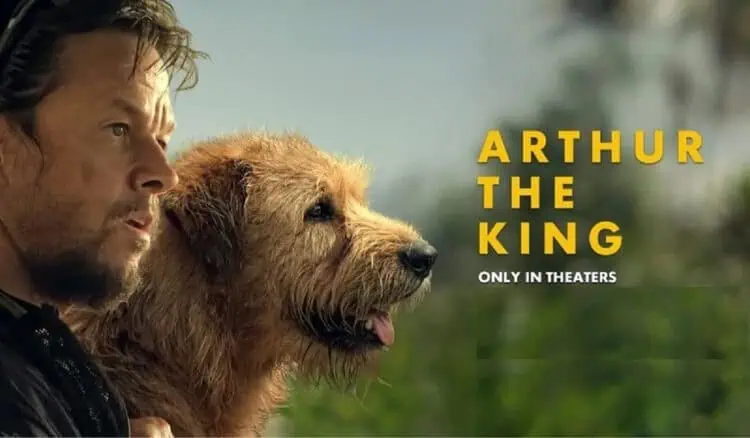 Arthur the King, Duet Kapten Tim Balapan Dengan Anjing Liar
