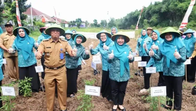 TP PKK Kabupaten Tangerang Tanam Bibit Cabai Serentak