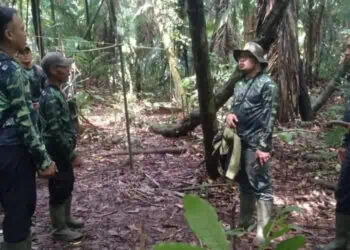 Cegah Perburuan Liar Badak, Penjagaan Semenanjung Ujung Kulon Diperketat