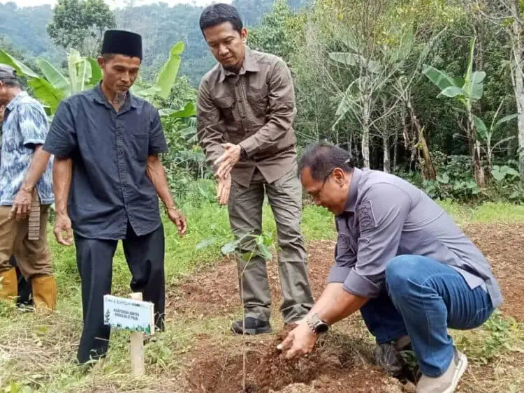 Peringati Hari Bumi, Ratusan Pohon Kopi Ditanam di Lereng Gunung Karang