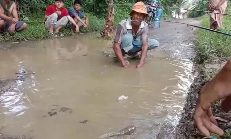 Protes Jualan Rusak, Warga Lebak Tanami Pohon Pisang dan Tebar Lele Protes Jualan Rusak, Warga Lebak Tanami Pohon Pisang dan Tebar Lele