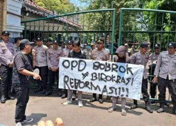 Dituding Tak Berizin, Keberadaan Peternakan Ayam di Lebak Diprotes