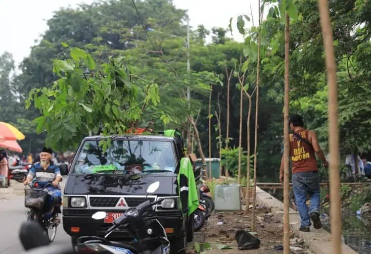 Usai Ditertibkan, Bahu Jalan Irigasi Pasar Sipon Cipondoh Ditanami Pohon