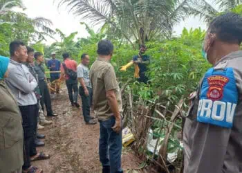 Polisi Selidiki Penemuan Mayat di Kebun Singkong Kampung Santri Munjul Desa Kemiri