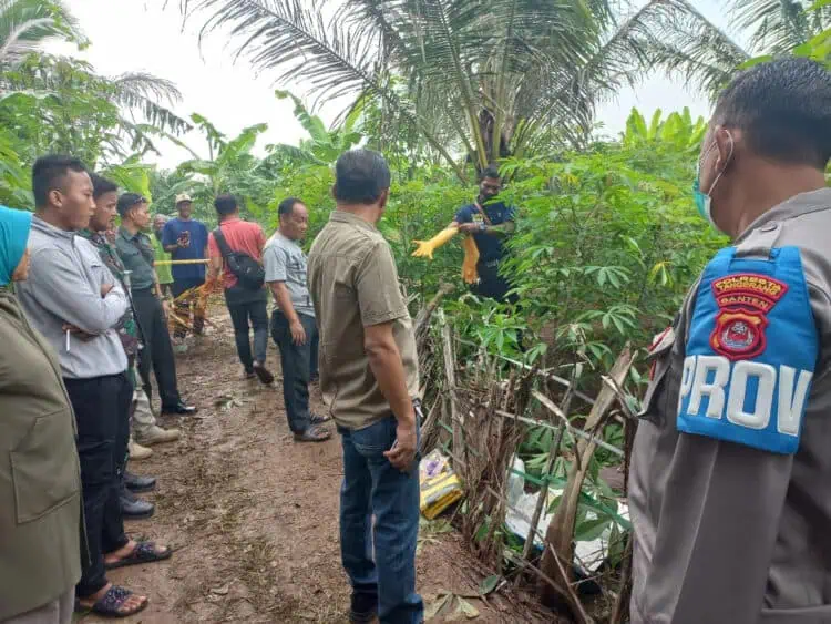 Polisi Selidiki Penemuan Mayat di Kebun Singkong Kampung Santri Munjul Desa Kemiri