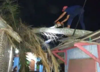 Petugas BPBDPK Kabupaten Pandeglang, sedang menangani musibah pohon tumbang. Hingga kini, BPBDPK tak punya stok logistik bantuan untuk korban bencana. (ISTIMEWA)