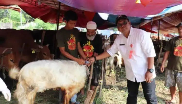 Periksa Kesehatan Hewan Kurban di Kabupaten Tangerang Gratis, Program DPKP