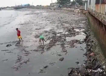 Tangani Tumpukan Sampah Teluk, Begini Langkah PD PBM 