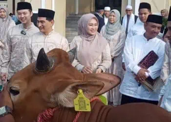 Bupati Pandeglang Irna Narulita, didampingi keluarga dan Sekda Pandeglang Ali Fahmi Sumanta, secara simbolis menyerahkan hewan kurban kepada pengurus DKM Masjid Agung Ar Rahman, Senin (17/6/2024). (ISTIMEWA)