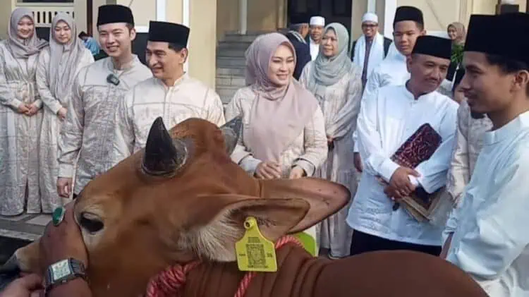 Bupati Pandeglang Irna Narulita, didampingi keluarga dan Sekda Pandeglang Ali Fahmi Sumanta, secara simbolis menyerahkan hewan kurban kepada pengurus DKM Masjid Agung Ar Rahman, Senin (17/6/2024). (ISTIMEWA)