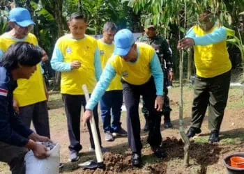 Tangani Lahan Kritis, DLH Kabupaten Serang Tanam 1000 Pohon per Tahun 