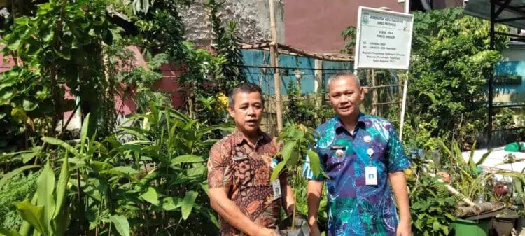 Pemerintah Kecamatan Larangan Gencarkan Pembibitan Toga, Sayur-mayur dan Buah-buahan