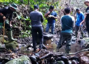 Peneliti Temukan Diduga Situs Sejarah, Dikawasan TNUK Pandeglang 