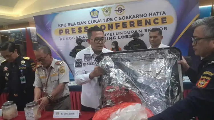 Dua Wanita Selundupkan 78.750 Benih Lobster