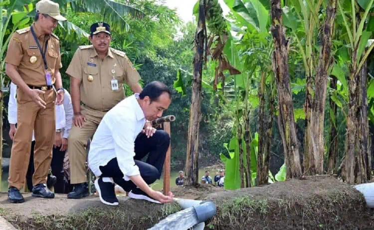 Jokowi: Enggak Ada Bansos untuk Pelaku Judi Online