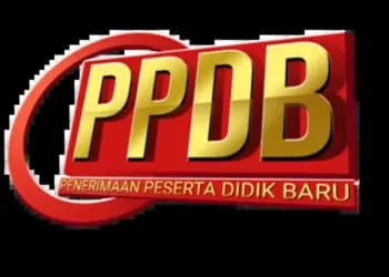 Pengamat Khawatirkan Persepsi Negatif atas Web PPDB SMA di Banten yang Sering Galat