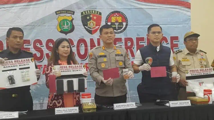 Polresta Bandara Soetta Gagalkan Penyelundupan Benih Lobster, Pelaku Diiming-Imingi Upah Rp500 Ribu