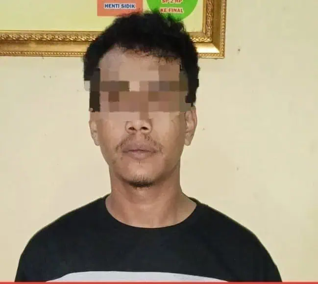 Pelaku penusukan ibu dan anaknya, diamankan polisi. (ISTIMEWA)
