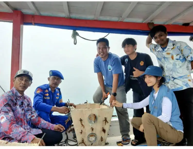3.200 Fragmen Karang Jenis Acropora Spp Ditransplantasi di Pulau Tunda Serang