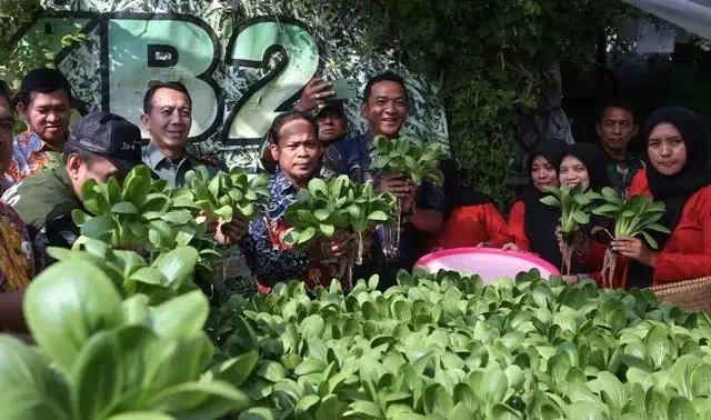 Urban Farming untuk Kendalikan Inflasi Kota Tangerang