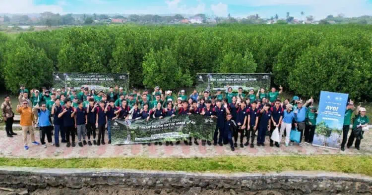 Suvarna Sutera Tanam 5.000 Bibit Mangrove di Ketapang Urban Aquaculture
