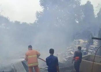 Kebakaran di Cinangka Kabupaten Serang, 5.000 Ekor Ayam Terpanggang