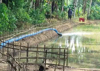 Cegah Gagal Panen, DPKP Pandeglang Gagas Pembangunan Irpom