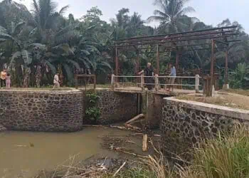 Berharap Bendungan Irigasi Bersejarah di Lebak Diperbaiki
