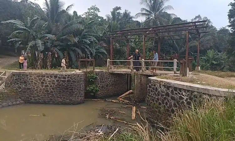 Berharap Bendungan Irigasi Bersejarah di Lebak Diperbaiki