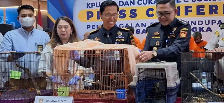 Selundupkan 56 Ekor Satwa Langka, 10 WNA India Ditangkap Bea Cukai Bandara Soetta