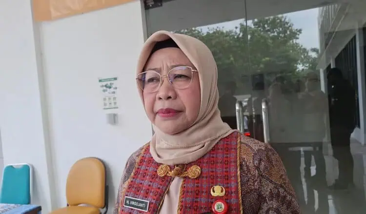 Sodorkan Kawasan Industri di Kota Serang, DPMPTSP Banten Berharap Investor China