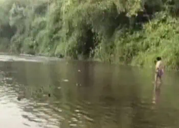 Sungai Ciujung Lebak Diduga Tercemar Limbah, Banyak Ikan Mati