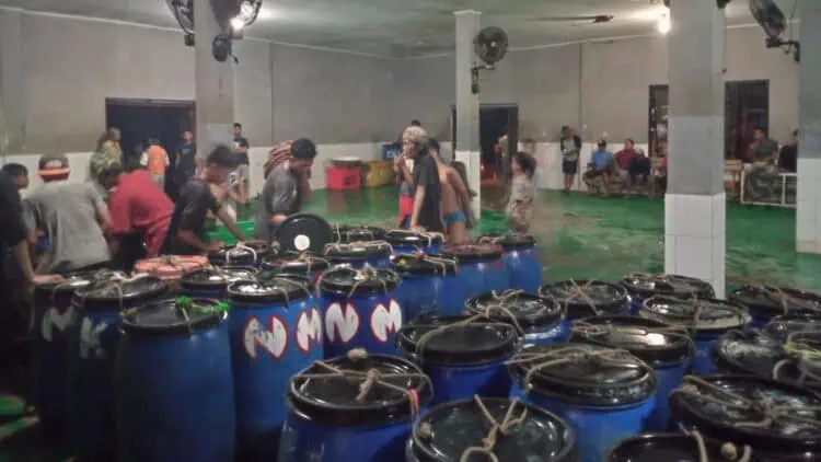 Suasana di Tempat Pelelangan Ikan (TPI) Teluk, Kecamatan Labuan, Kabupaten Pandeglang, beberapa waktu lalu. (DOKUMEN/SATELITNEWS.COM)
