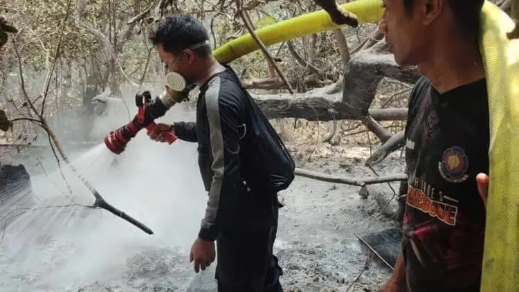 Pulau Deli Pandeglang Terbakar, Tiga Hari Api Sulit Dipadamkan
